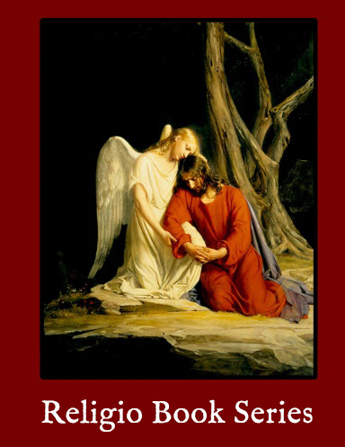 Religio Book Series cover